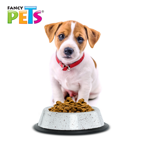 PLATO DE ACERO ESTRIADO PARA PERRITU - PERRO - 907 GR